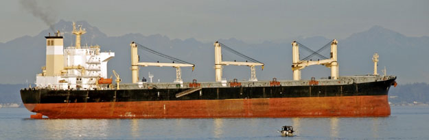 Supramax Schiff für Mesquite-Hartholzschnitzel