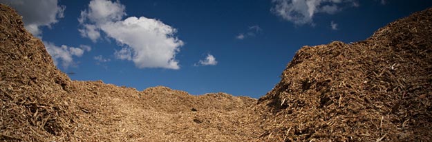 Mesquite Wood Chips pile in Harbor